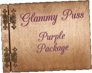 Glam Fairy Glammy Puss Package