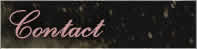 Contact Alexa Prisco